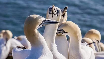 每日大赛app网页版不是随便起量那么简单，这次真的不是空穴来风