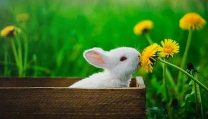 原本没人当回事，51视频网站这件事表面上没动静却一直在发酵，直接把讨论点燃