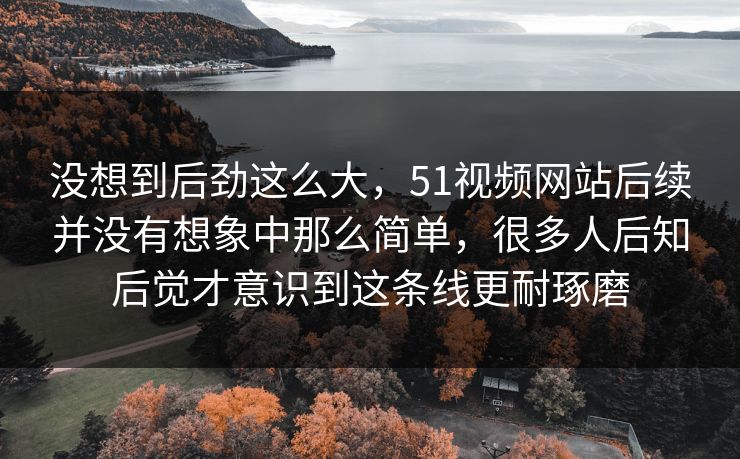 没想到后劲这么大，51视频网站后续并没有想象中那么简单，很多人后知后觉才意识到这条线更耐琢磨