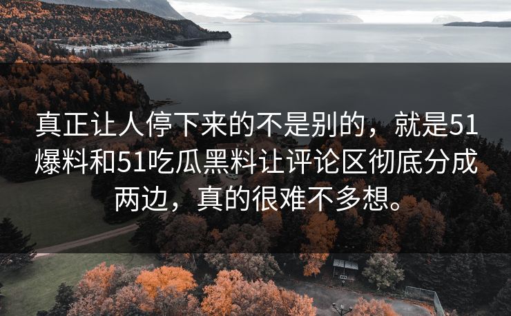 真正让人停下来的不是别的，就是51爆料和51吃瓜黑料让评论区彻底分成两边，真的很难不多想。