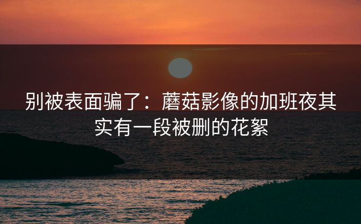 别被表面骗了:蘑菇影像的加班夜其实有一段被删的花絮 别被表面骗了:蘑菇影像的加班夜其实有一段被删的花絮